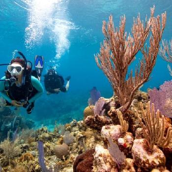 Private Sailing Snorkeling Tour Perfect Day