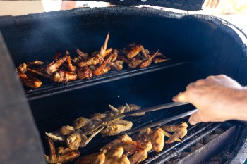 Glimpse the Adventure Tour Image 29